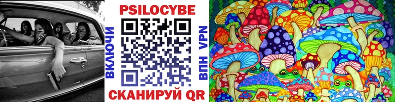 Псилоцибиновые грибы мицелий  наркота  Светлоград 