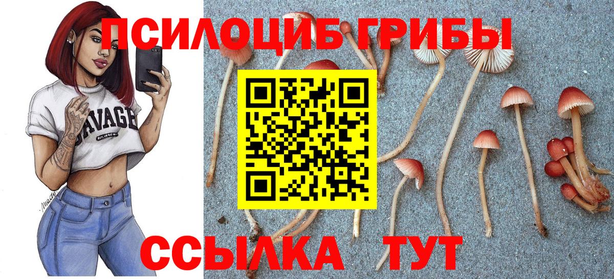 Псилоцибиновые грибы Magic Shrooms  Вход с VPN  Светлоград 