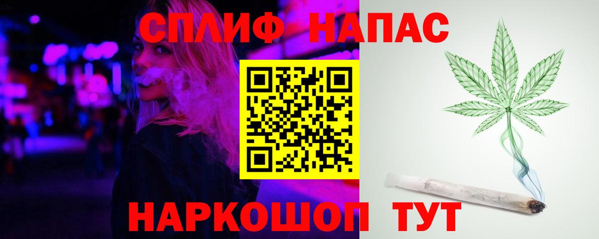 Канабис сатива Светлоград